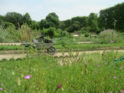 Paris's green spaces: an inescapable natural heritage