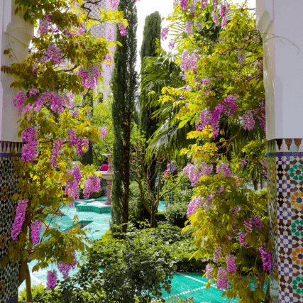 VIVONS HEUREUX, VIVONS (JARDINS) CACHÉS